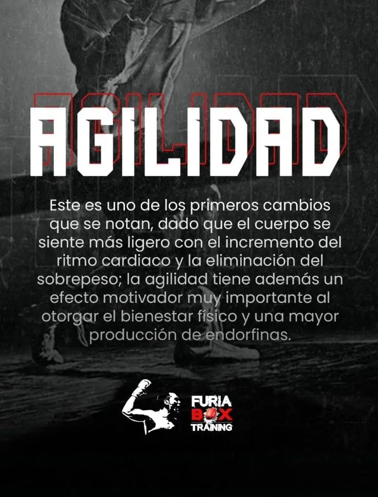 Agilidad y reflejos en boxeo recreativo en furiabox Neuquén
