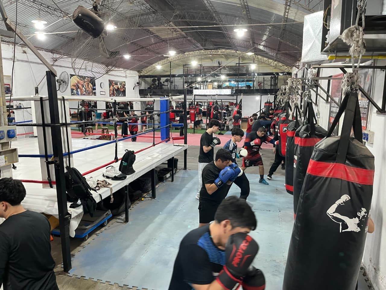 Clase completa entrenando en las bolsas de furiabox, Neuquén