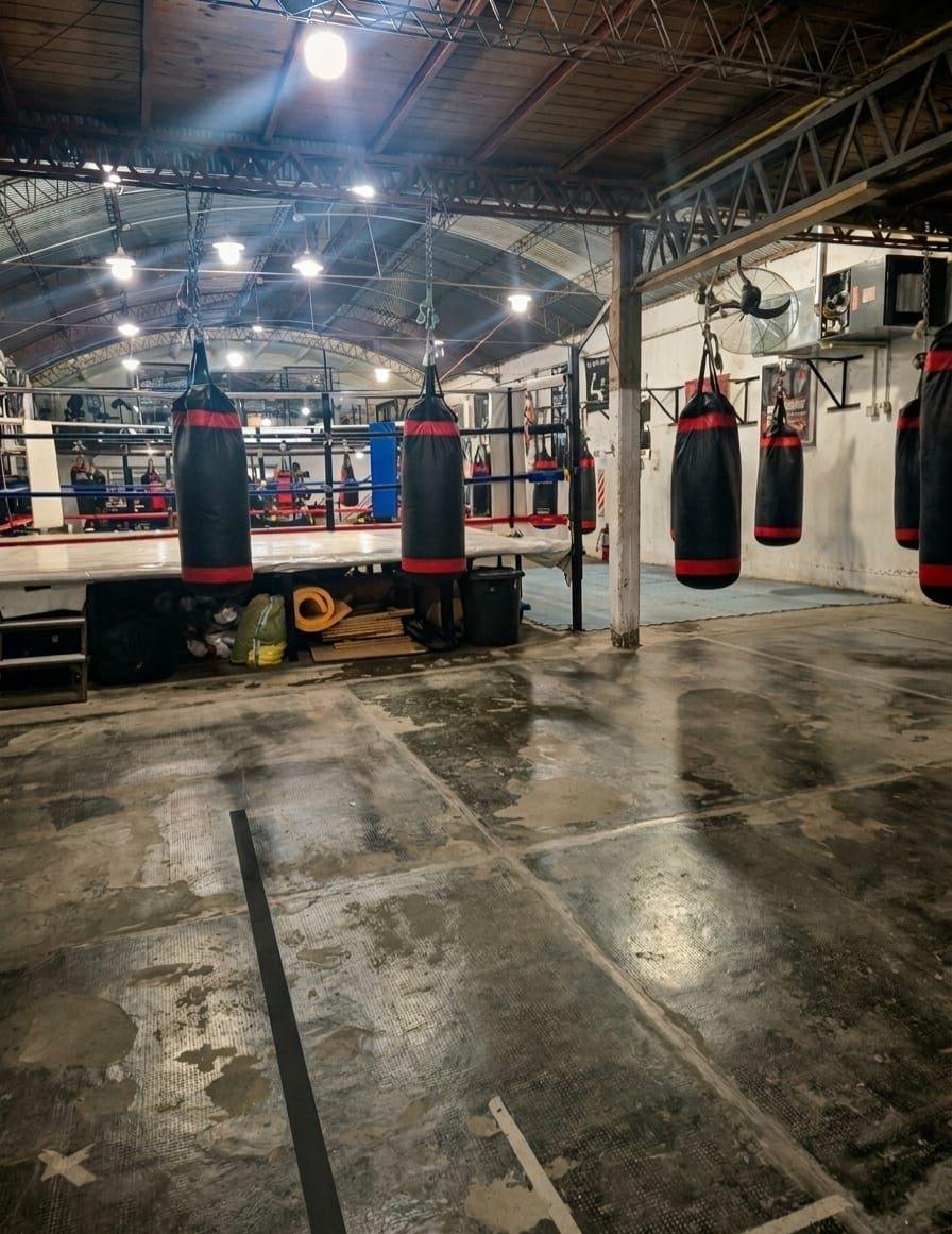 Bolsas de boxeo y ring de furiabox, foto actual